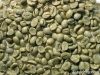 arabica coffee bean importers,arabica coffee bean buyers,arabica coffee bean importer,buy arabica coffee bean,arabica coffee bean buyer,