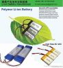 Lithium ion Battery