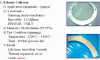 MOCVD tungsten and mol...