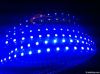 LED Strips  (SMD5050)