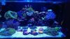 BLOCK Smart LED Aquari...