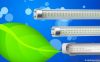 LED T8 TUBE