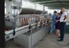 Tomato Paste Filling M...