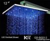 spa led light rainfall...