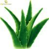 100% natural Aloe Vera...