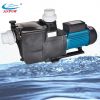 swimming pool filter e...