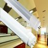 8W 600MM T8 Led Tube L...