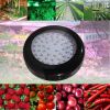 UFO 150w led grow ligh...