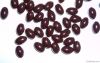Sheep Placenta Soft Ca...