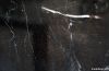 Black marble tiles and...