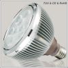 LED Light Par38