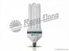 Compact Fluorescent La...