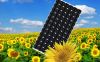 250W PolyCrystalline P...