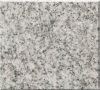 G603 Padang Light Granite