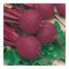 Beet Root Red colour