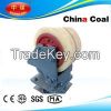Roller Cage shoe