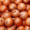 fresh white onion