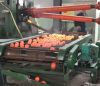 steel ball in ball mill