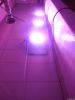 LED Underwater Light
