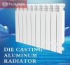 Die casting Aluminum R...
