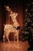 LED christmas light-LE...