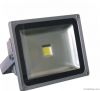 LED Floodlight