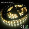 Low Prices 60leds 14.4...