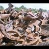 Iron & Steel Scrap...