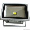 LED Floodlight