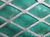 Exopanded metal mesh