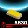 SMD 5630 LED hot on pr...