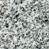 G640 White Granite Sla...