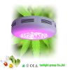 90W LED Growing Light ...
