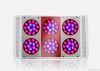 LED  Grow Lights P6 (9...
