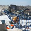 gold ore plants, gold ...