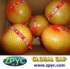 Chinese fresh pomelo