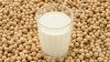  Pure Soy milk Powder /SOY MILK