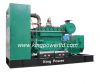 Biogas generator set o...