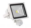 LED Floodlight JR-FG22...