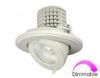 LED Down Light