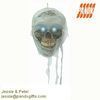 Haunted Mummy Skull wi...