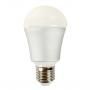  CS-A6W bulb