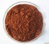Grape Seed Extract