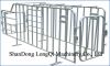 Gestation stall with s...