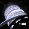 LED neon rope light fo...
