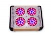 LED Grow Lights P4(60X3W)