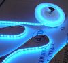 LED Rope
