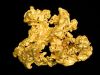 gold nugget
