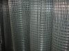 galvanized welded wire...