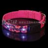 Led Pet Collars